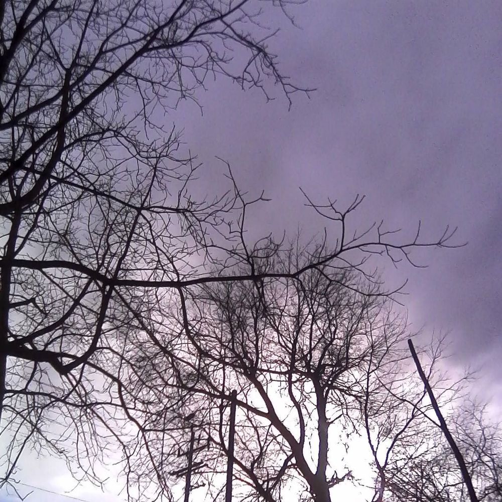 Meet your Posher, Bree